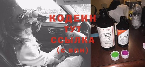 хмурый Алексин