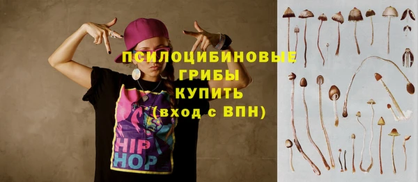 кокаин Алексеевка