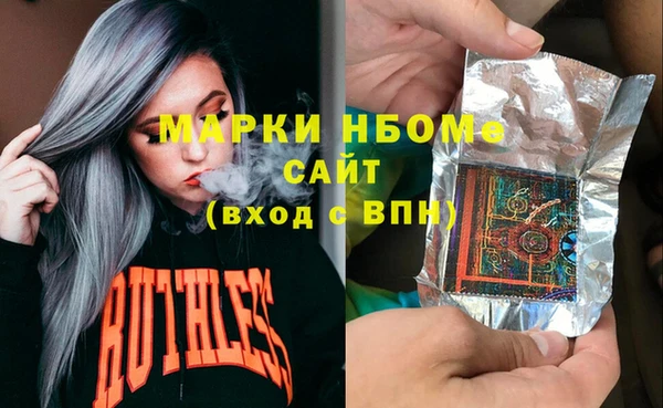 хмурый Алексин