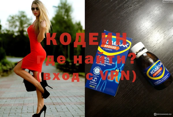 хмурый Алексин